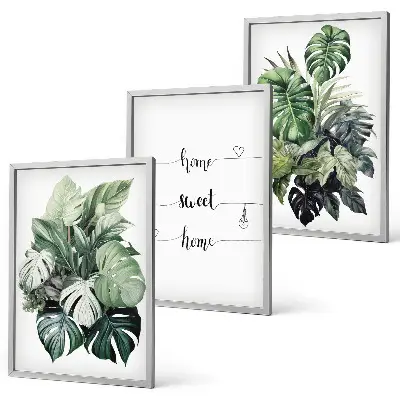 Akvarell Monstera levelek kép szett keretezett változat hálószobába