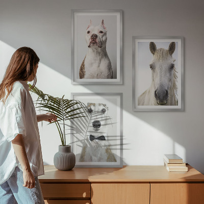 Keretezett kép szett hálószobába Elegáns portrék kutyákról és lovakról