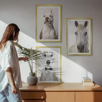 Keretezett kép szett hálószobába Elegáns portrék kutyákról és lovakról