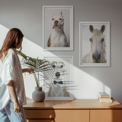 Keretezett kép szett hálószobába Elegáns portrék kutyákról és lovakról
