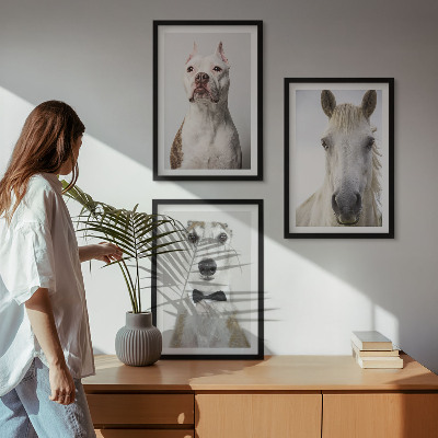Keretezett kép szett hálószobába Elegáns portrék kutyákról és lovakról