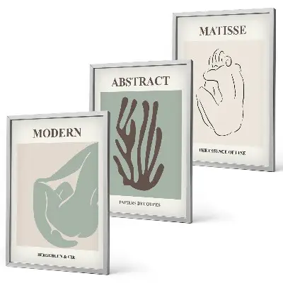 Absztrakt falikép szett Matisse stílusú festmények