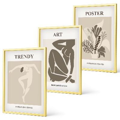 Keretezett kép szett hálószobába Matisse növényi figurái