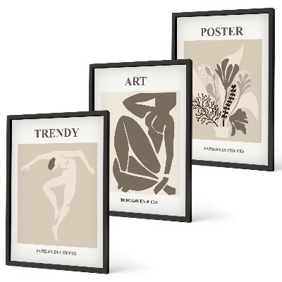 Keretezett kép szett hálószobába Matisse növényi figurái