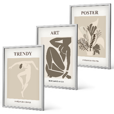 Keretezett kép szett hálószobába Matisse növényi figurái