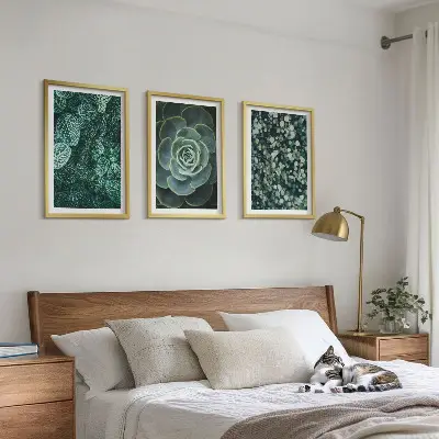 Pozsgások mintás falikép szett keretezett változat hálószobába