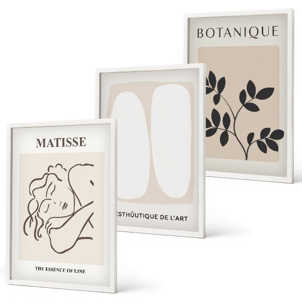 Keretezett kép szett hálószobába Matisse stílusos növényfestményei