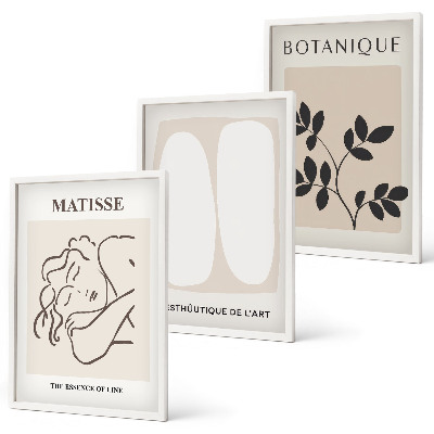 Keretezett kép szett hálószobába Matisse stílusos növényfestményei
