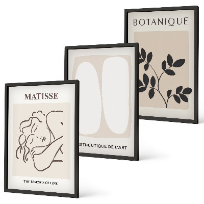 Keretezett kép szett hálószobába Matisse stílusos növényfestményei