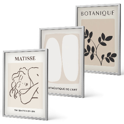 Keretezett kép szett hálószobába Matisse stílusos növényfestményei