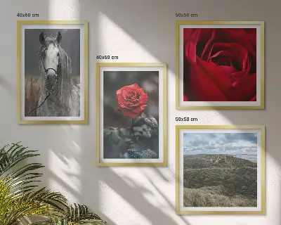 Keretezett poliptichon vörös rózsák szürke háttéren