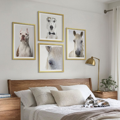 Dekorációs kép készlet nappaliba Elegáns portrék kutyákról és lovakról