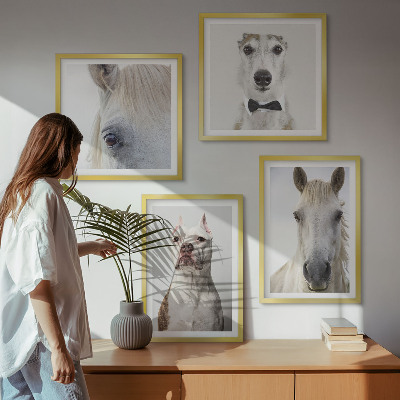 Dekorációs kép készlet nappaliba Elegáns portrék kutyákról és lovakról