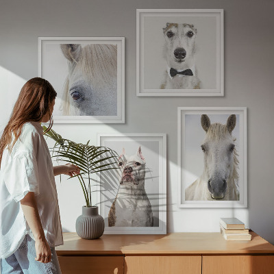 Dekorációs kép készlet nappaliba Elegáns portrék kutyákról és lovakról