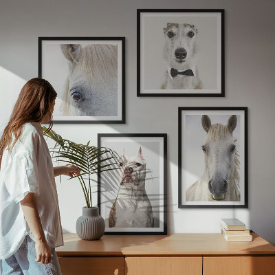 Dekorációs kép készlet nappaliba Elegáns portrék kutyákról és lovakról