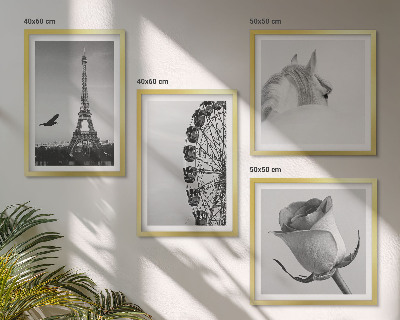 Dekorációs kép készlet nappaliba Rózsaszín Eiffel-torony Ló Óriáskerék B&W