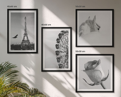 Dekorációs kép készlet nappaliba Rózsaszín Eiffel-torony Ló Óriáskerék B&W