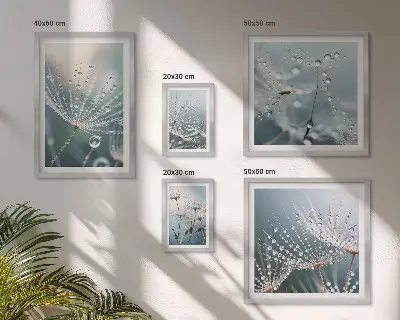 Harmatcseppek minimalista növények prémium keretezett kép