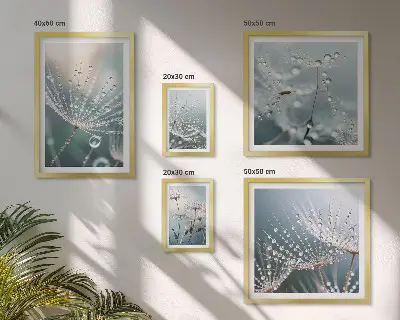 Harmatcseppek minimalista növények prémium keretezett kép