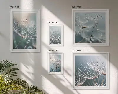 Harmatcseppek minimalista növények prémium keretezett kép