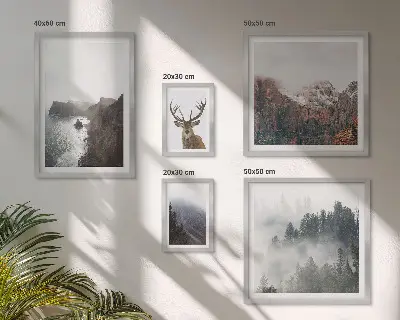 Vadvilági tájak dekorációs kép készlet nappaliba