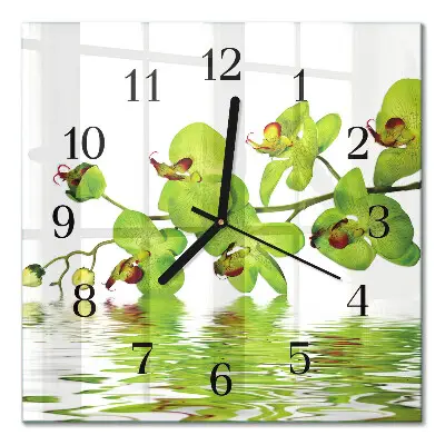 Négyzet alakú üvegóra Orchidea