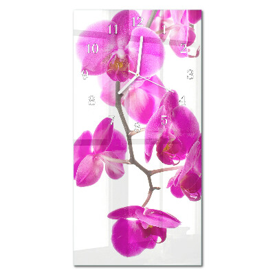 Függőleges üvegóra Orchideák