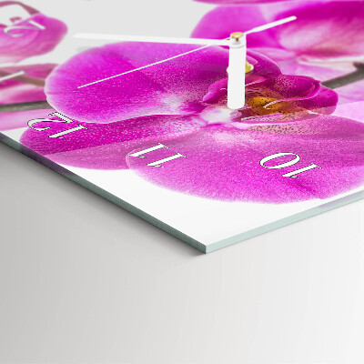 Függőleges üvegóra Orchideák