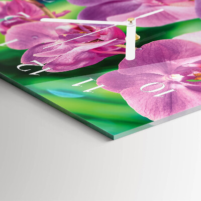 Függőleges üvegóra Orchideák