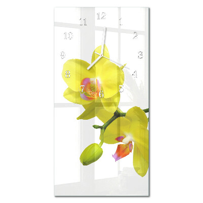 Függőleges üvegóra Orchidea