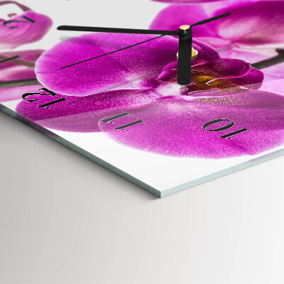 Négyszögletes fali üvegóra Orchideák
