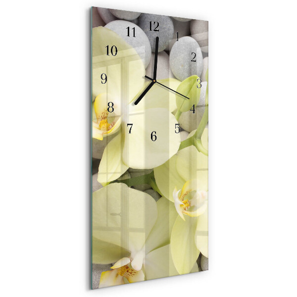 Függőleges üvegóra Orchidea kövek