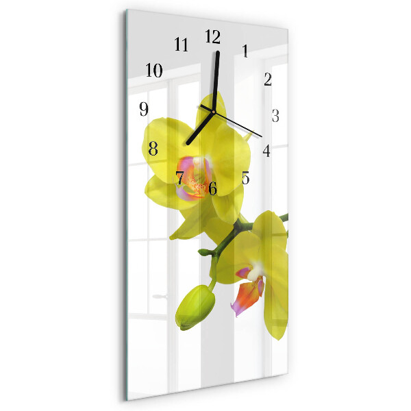 Négyszögletes fali üvegóra Orchidea