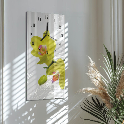 Négyszögletes fali üvegóra Orchidea