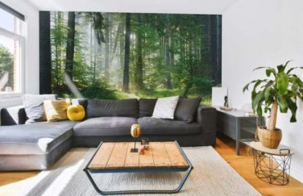 Fotótapéta a nappaliba - hogyan válasszuk ki a tökéletes motívumot és hozzunk létre egyedi teret