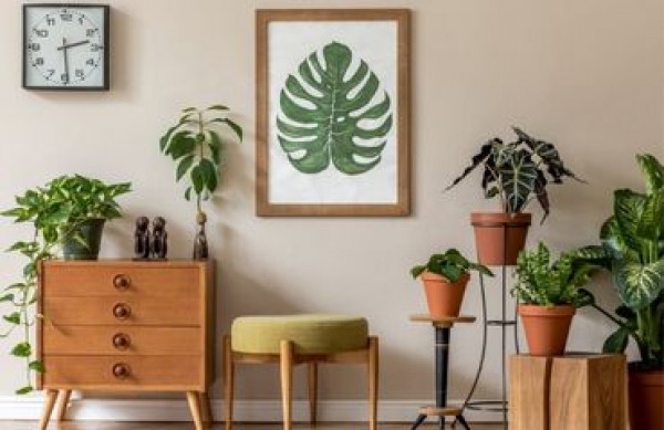 Hogyan díszítsük otthonunkat városi dzsungel stílusában? Városi dzsungel titkok nélkül